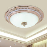 Sleek Glass Apricot Ceiling Lamp - Led Flush Mount Light Bowl-Shape Simplicity 14/16/19.5 Dia / 14