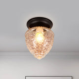 Modern Acorn Shape Flush Mount Clear Glass Light Fixture With 1 White/Black