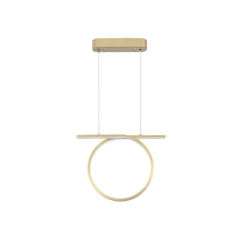 Simplicity Led Gold Hanging Lamp Kit With Warm/White Light