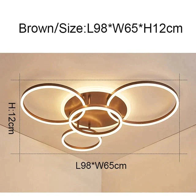 2/3/5/6 Circle Rings Modern Led Ceiling Lights For Living Room Bedroom Study White/Brown Color Lamp