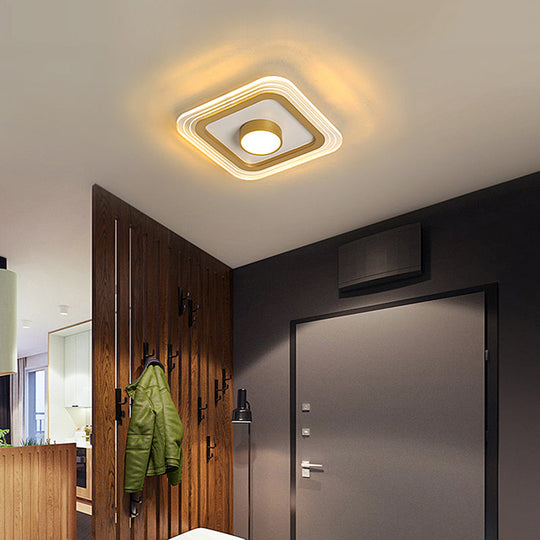 Minimalist Gold Led Flushmount Foyer Light Small Acrylic Ceiling Flush Mount