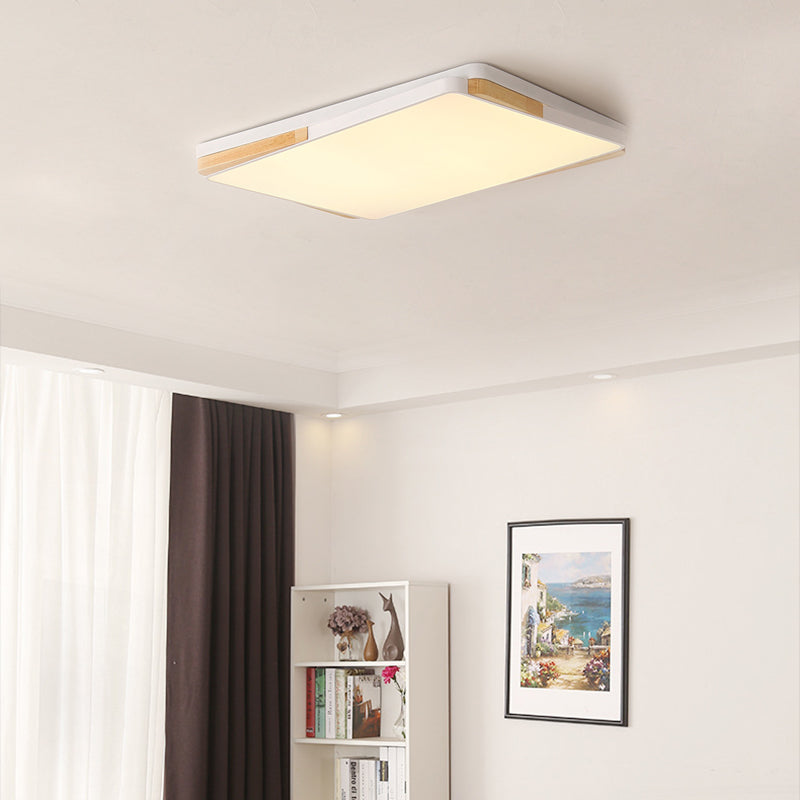 Contemporary Rectangular Acrylic Lighting Fixture - Flush Mount Ceiling Lights For Living Room