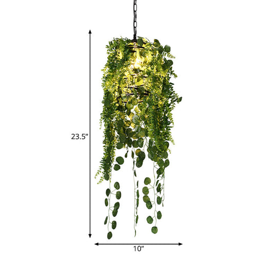 Industrial Black Cage Pendant Light With Led And Plant