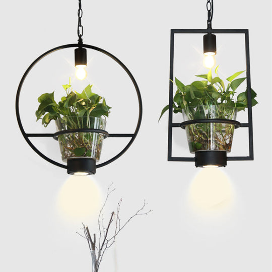 Black Industrial Iron Pendant With Clear Glass Plant Pot: 1 Light Down Lighting Cage Design