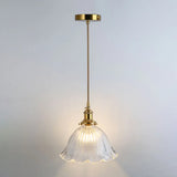 Clear Glass Pendant Lighting Fixture With Simplicity Shaded Hanging Light / F