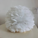 Feathered Flower Blossom Bedside Lamp - Modern Stylish Night Light (Pink/Apricot/White) White