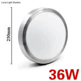 High Brightness Led Ceiling Lights Chip 12W 18W 24W 36W 45W Lamp B 250Mm / 220V - 240V Warm White