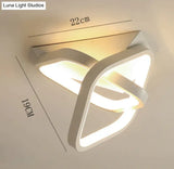 Home Passage Lamp Corridor Human Body Induction Ceiling Cloakroom White / Light