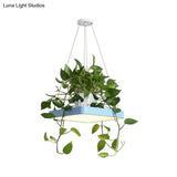 Led Chandelier Light Fixture With Acrylic Shade - Antiqued Style For Dining Room Black/White/Blue