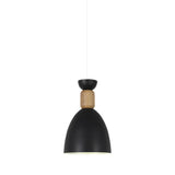 Macaron Dining Room Suspended Light Fixture With Metal And Wood Accents Green