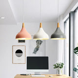 Metal Onion Pendant Light With Wood Accents In White/Pink/Green Pink