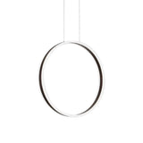 Modernist Acrylic Ring Pendant Lamp 16/23.5 Dia Coffee Led Ceiling Light For Dining Room