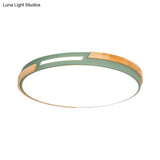 Nordic Style Led Ceiling Light Fixture Acrylic Gray/Green Flush Mount For Living Room And Bedroom -