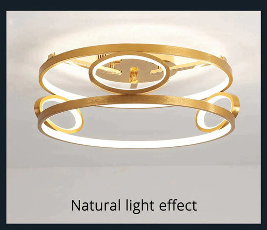 Led Ceiling Lights Gold Body Round/Square For Bedroom Support Remote Control Led Lamps