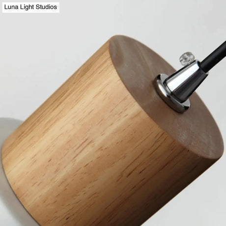 Simple Nordic Pendant Light For Restaurants & Coffee Shops - Modern And Creative Design