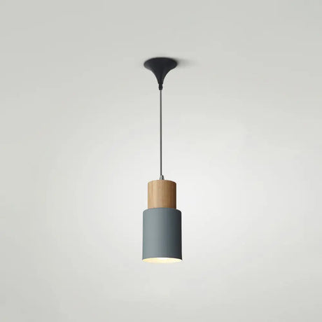 Simple Nordic Pendant Light For Restaurants & Coffee Shops - Modern And Creative Design Grey / 4